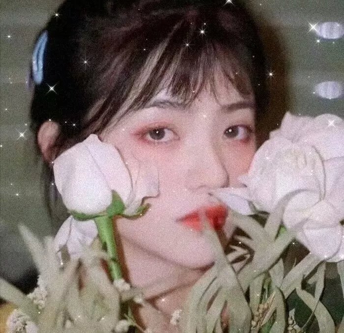 金龟子
